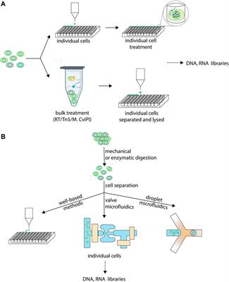 Single-Cell Multiomics Techniques: From Conception to Applications